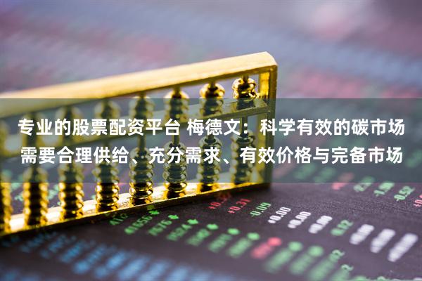 专业的股票配资平台 梅德文：科学有效的碳市场需要合理供给、充分需求、有效价格与完备市场