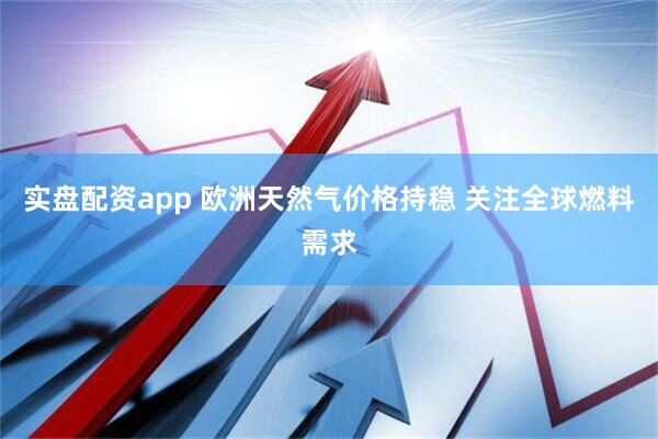 实盘配资app 欧洲天然气价格持稳 关注全球燃料需求