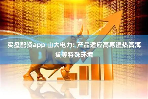 实盘配资app 山大电力: 产品适应高寒湿热高海拔等特殊环境