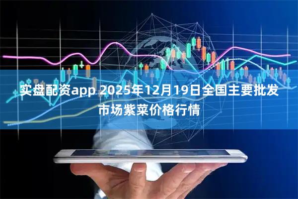 实盘配资app 2025年12月19日全国主要批发市场紫菜价格行情